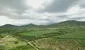 De tierras secas a amplios cultivos: Cómo Olmos impulsa la productividad agrícola en Valle Viejo