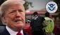 Trump autoriza la ''mayor deportación de la historia'' en EEUU mientras ICE lucha por financiación
