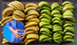El plátano verde podría reducir el riesgo de cáncer colorrectal, según expertos en nutrición