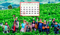 ¿Qué festividades se celebran el 24 de junio en Perú? Día del Campesino y más