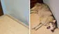 Joven explica la emotiva razón por la que no borra algunas manchas de su pared: "Son recuerdos"