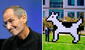 Clarus, el perro-vaca que fue mascota de Apple: Steve Jobs lo 'odiaba' y pidió que lo quitaran para siempre