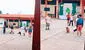 Perrito callejero es captado jugando 'Lingo' con niños y usuarios bromean: "El también quiere saltar"