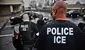 Redada de ICE termina con la captura de 4 inmigrantes que realizaban compras laborales en Virginia