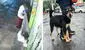 Perrito sin hogar al que hombre le robó su frazada fue adoptado: ¡Historia con final feliz!