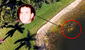 Google Earth ayuda a encontrar el cadáver de un hombre desaparecido hace 28 años en un estanque de Florida