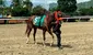 Resultados del 5y6 del 6 de julio en el Hipódromo La Rinconada: caballos ganadores y órdenes de llegada de todas las carreras