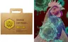 Savage Pet recalls cat food over Bird Flu risk: What pet owners need to know