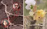 Mystery in Arizona: Two teens found dead, authorities investigating possible homicide